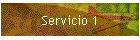 Servicio 1