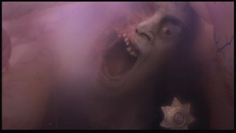 policia