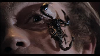 escorpion