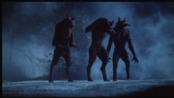 Lobos descontentos