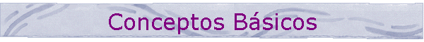 Conceptos Bsicos