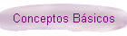 Conceptos Bsicos