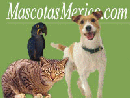 Se busCAN