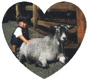 timmy028.jpg
