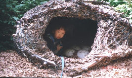 timmy038.jpg