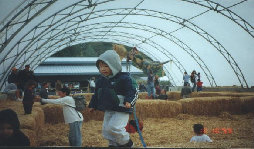 timmy039.jpg