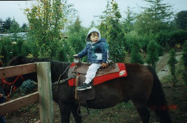 timmy040.jpg