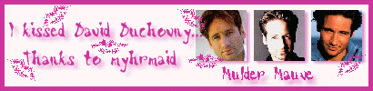 muldar mauve banner