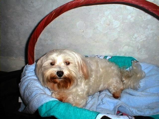 My name is Michi!