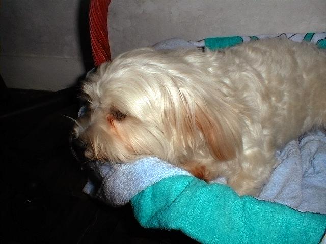 I'm resting!