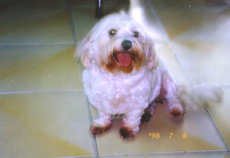 Michi4