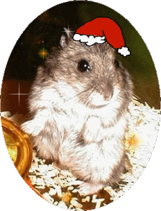 Santa011.gif (114577 bytes)