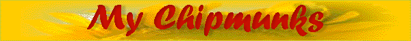 chipmunks.gif (14756 bytes)
