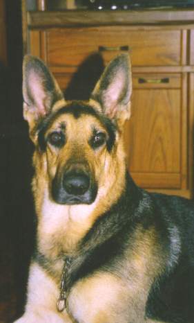 A handsome boy!