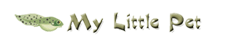Homepage