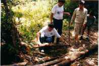 Crocodile Chong.jpg (48756 bytes)