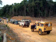 Land Rover in Line.jpg (36159 bytes)