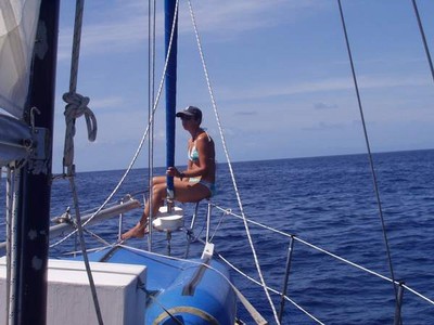 SailPic001.jpg
47.62 KB 
600 x 450 
1/3/2003
