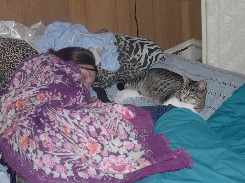 'Little' kitten, Pippin, is now half grown.  Here she was caught cat-napping with me.