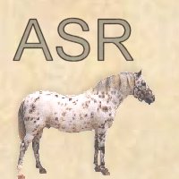 asrbutton.jpg (9424 bytes)