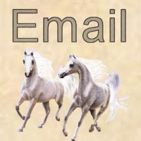 emailbutton.jpg (9645 bytes)
