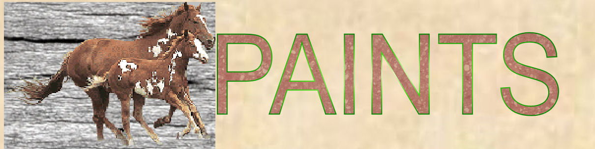 paintbutton.jpg (15059 bytes)