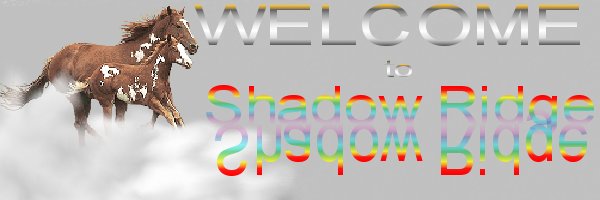 Shadowridgewelcome.jpg (22804 bytes)