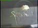 Electric_Dog_House_Generartions_87