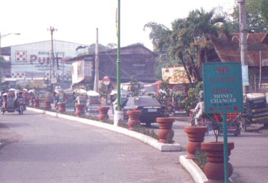 Rizal Street Island Plants
