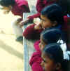 paying attention.jpg (46006 byte)