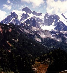 Mt.graphic