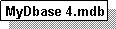 Text Box: MyDbase 4.mdb