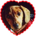 nancy heart