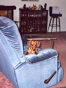 bluechair1
