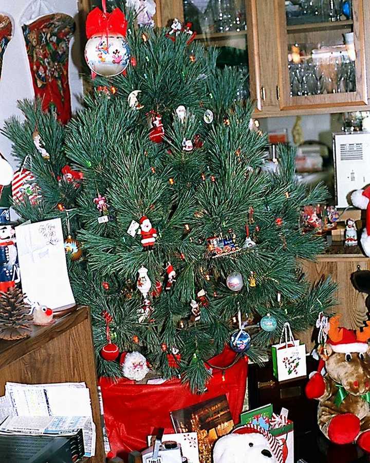Christmas Tree