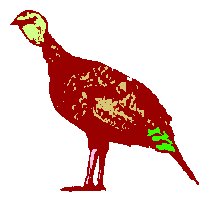 turkey