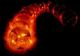 Solar Cycle