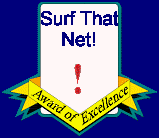 Surf That Net!