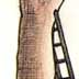 3-David Johny-Belika-Belgium(K).jpg (7156 bytes)
