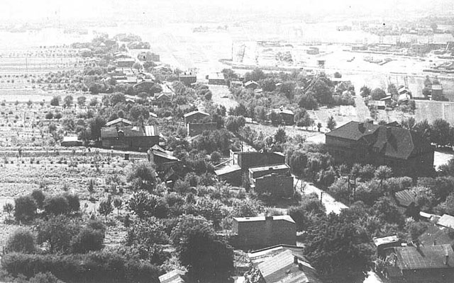 Rok 1953. Ulica Działki.