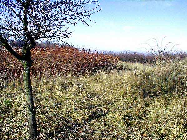 Szlak metalurgów