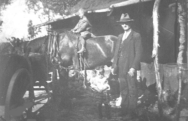 Rok 1925 Koń wujka Antoniego