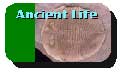 Ancient life