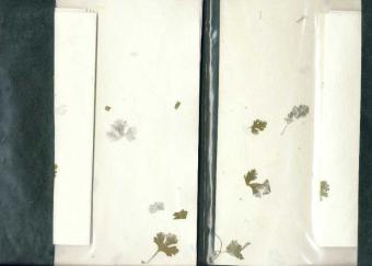 Folder
