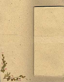 Letter