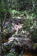 the falls