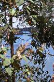 looking out over part of Lake Tyers