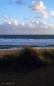 wild beach