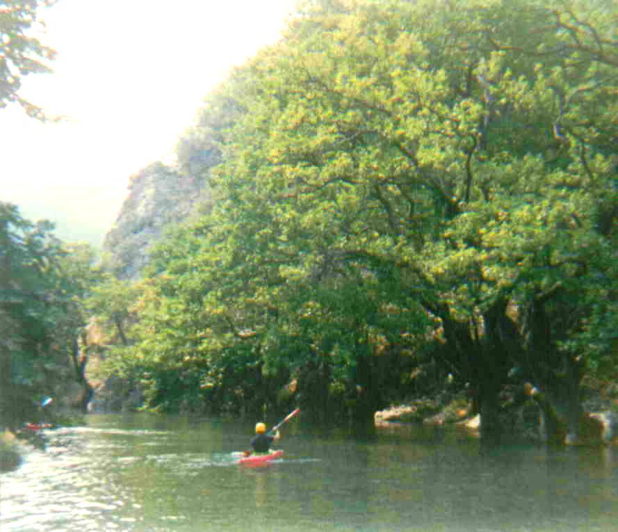 kayaking at the calm section of Voidomatis