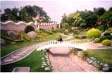 At Japanese Garden